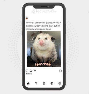 buy Instagram account Opossum All (7 k Followers)