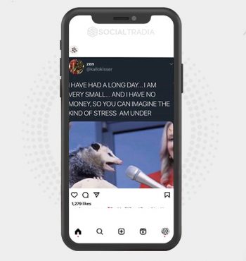 buy Instagram account Opossum Pets (7.3 k Followers)