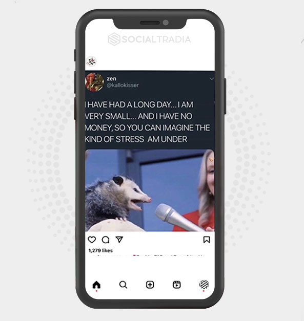 buy Instagram account Opossum Pets (7.3 k Followers)