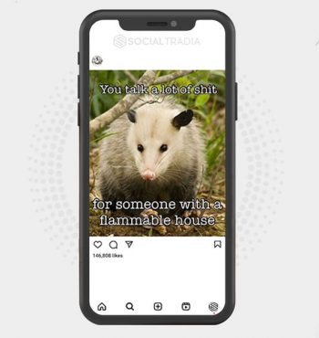 buy Instagram account Opossums Day (40.5 k Followers)