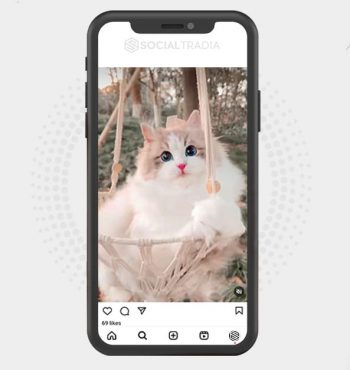 buy Instagram account Catty Stage (36.1 k Followers)