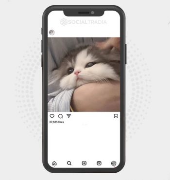 buy Instagram account Pet Power (27.2 k Followers)