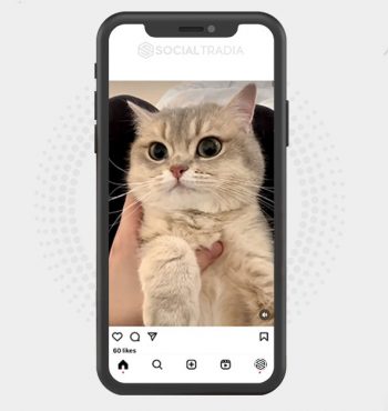 buy Instagram account KittyLand (6.2 k Followers)