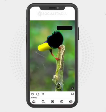 buy instagram account