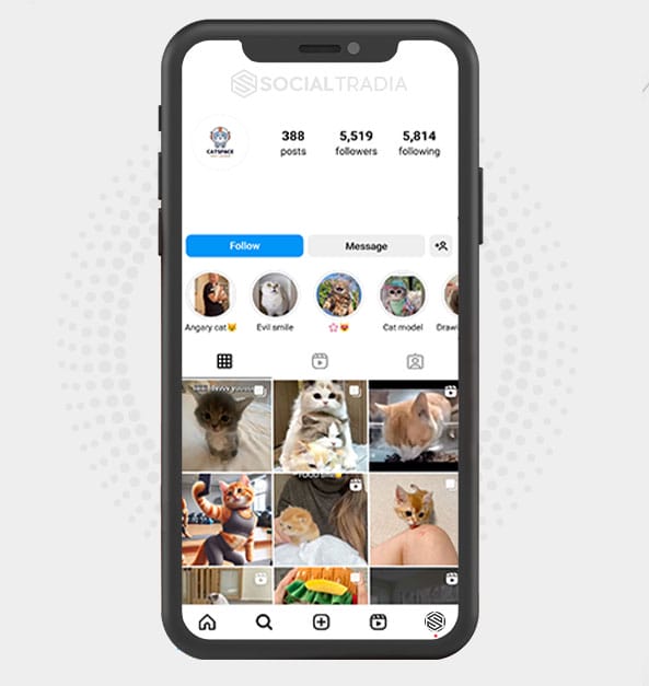 buy Instagram account CatStand (7 k Followers)