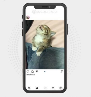 buy Instagram account KittyCool (35 k Followers)