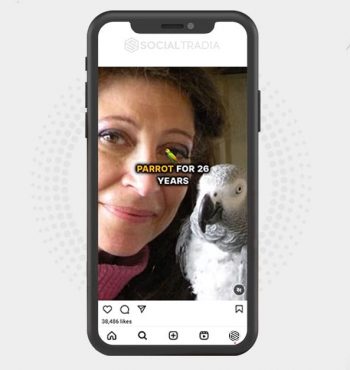 buy Instagram account Mystery Home (250 k Followers)