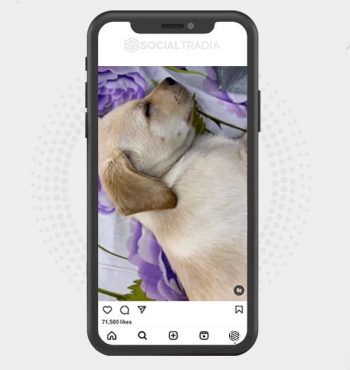 buy instagram account