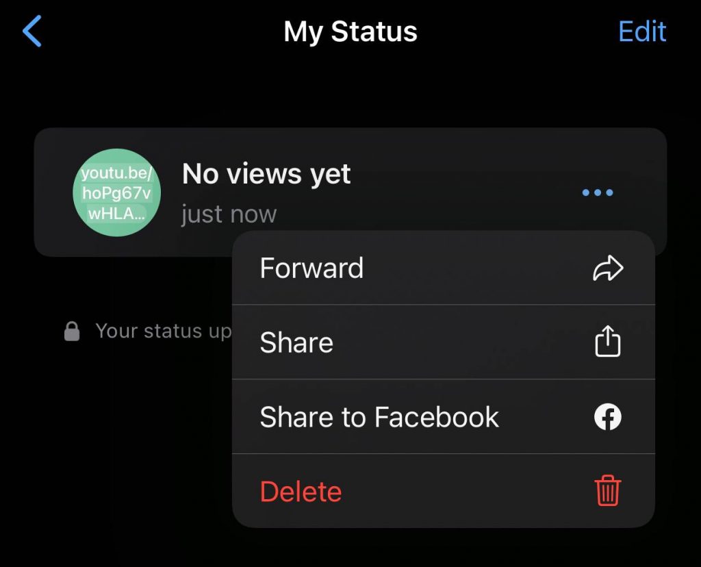 Share to Facebook Story