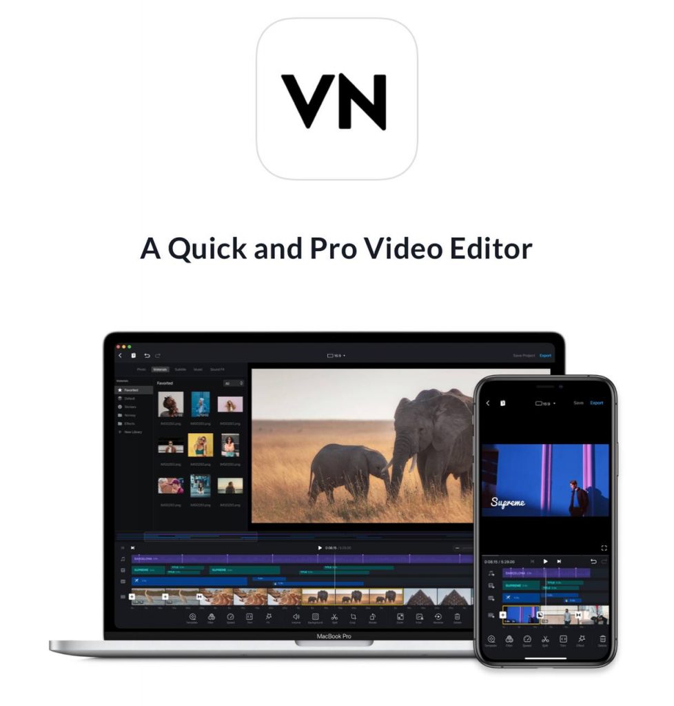 VN