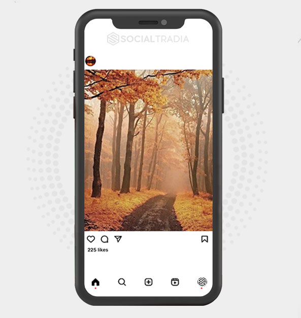 buy Instagram account AdventureHall (3.1 k Followers) buy Instagram account AdventureHall (3.1 k Followers)
