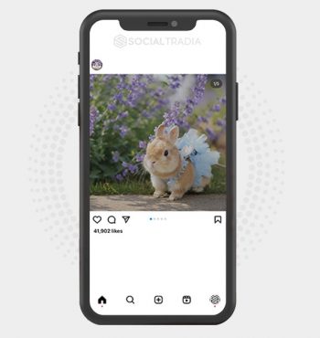buy Instagram account Cute Bunny (22.6 k Followers)