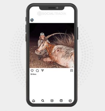 buy Instagram account FishingLand (2 k Followers)