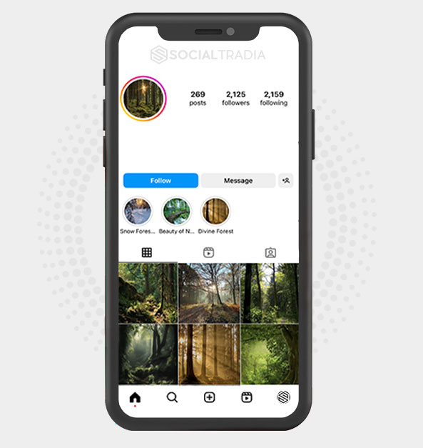 buy Instagram account ForestMagic (2.1 k Followers) buy Instagram account ForestMagic (2.1 k Followers)