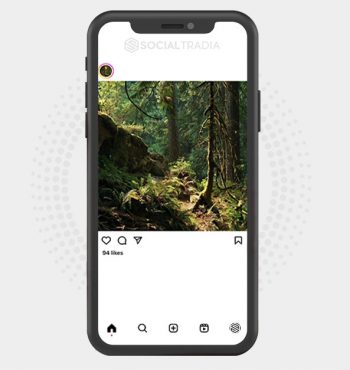 buy Instagram account ForestMagic (2.1 k Followers)