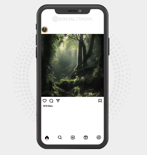 buy Instagram account ForestMagic (2.1 k Followers) buy Instagram account ForestMagic (2.1 k Followers)