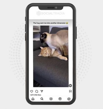 buy Instagram account Kitty For (17.4  k Followers)