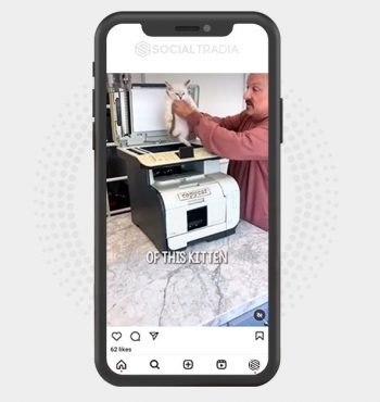 buy Instagram account Kitty Sort (30 k Followers)