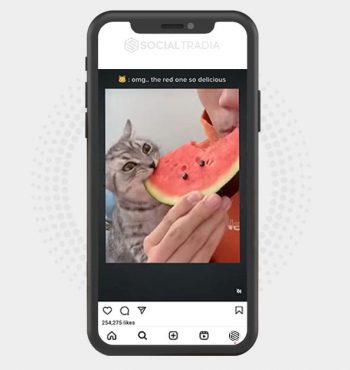 buy Instagram account KittyFever (38 k Followers)