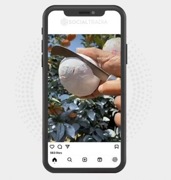 buy Instagram account NatureFull (2.8 k Followers)