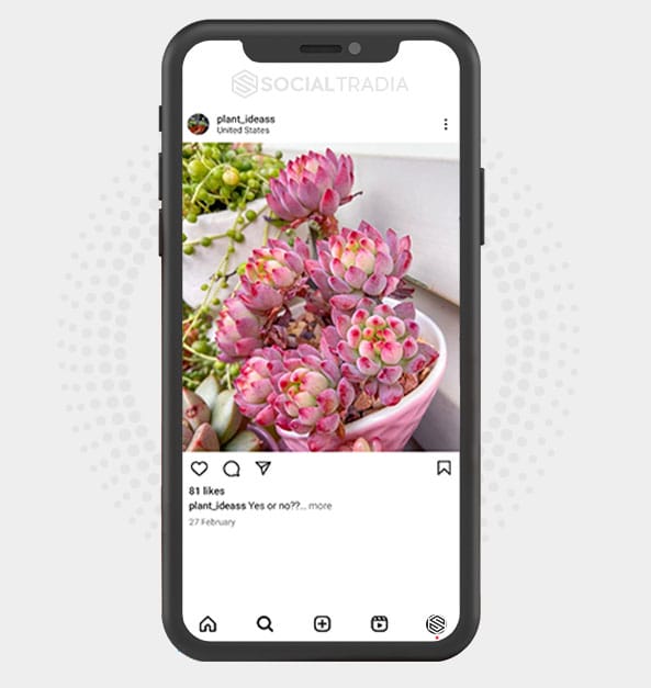 plant_ideass (2.1 k Followers) | Social Tradia