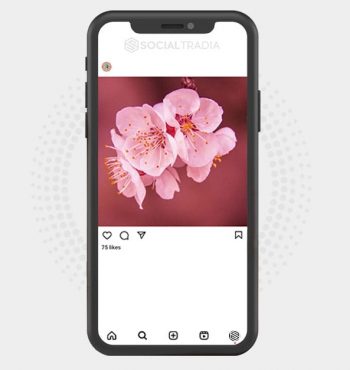 buy instagram account