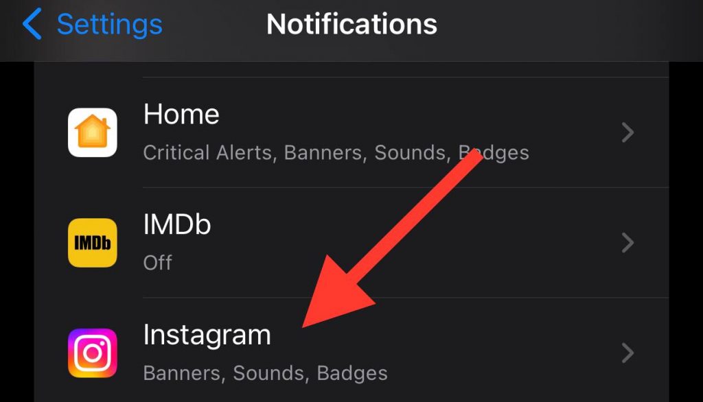 Search for Instagram