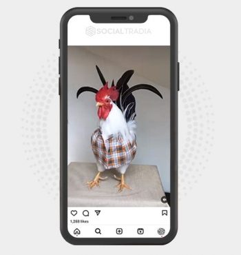 buy instagram account
