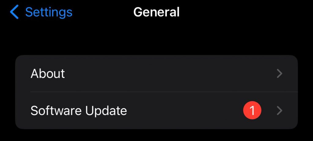choose software update