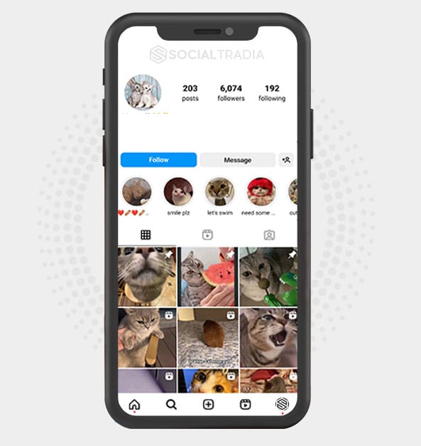 buy Instagram account CrazyPet (6 k Followers)