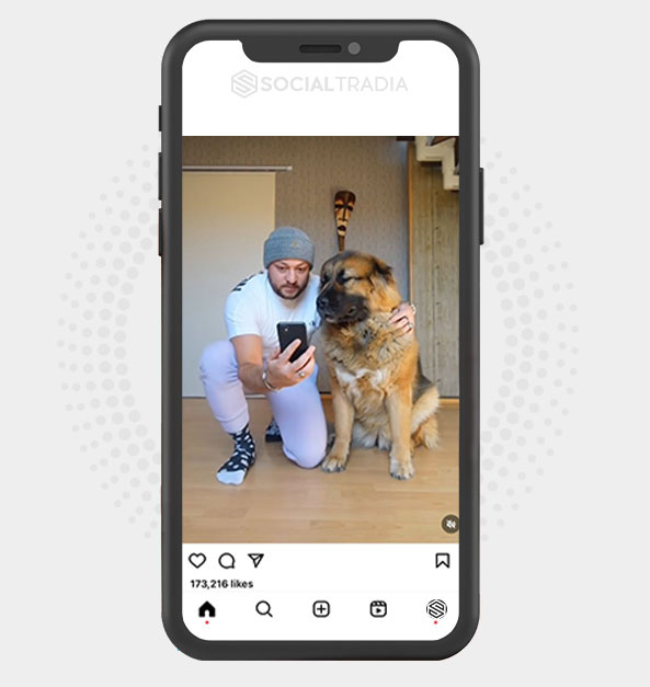 buy Instagram account dogscommunity (107 k Followers)