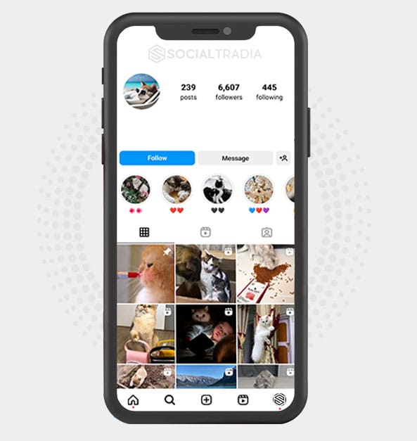 buy Instagram account HomePet (6.6 k Followers)