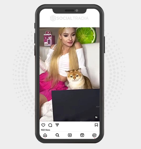 buy Instagram account HomePet (6.6 k Followers)