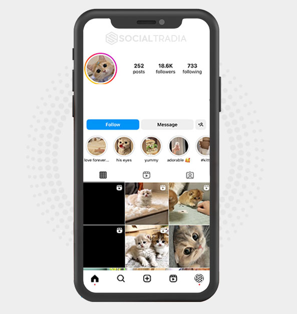 buy Instagram account KittyBand (39.5 k Followers)