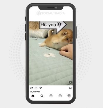 buy Instagram account KittyBand (39.5 k Followers)