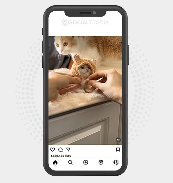 buy Instagram account KittyBand (39.5 k Followers)
