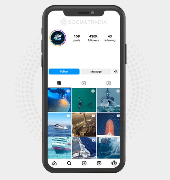 buy Instagram account MarineLife (731 k Followers)