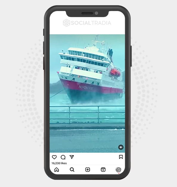 buy Instagram account MarineLife (731 k Followers)