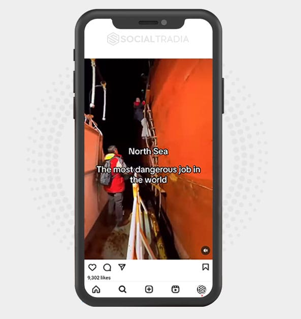buy Instagram account MarineLife (731 k Followers)