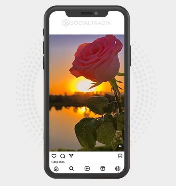 buy Instagram account Natural Home (4.1 k Followers)