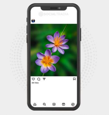 buy Instagram account NatureHome (4.4 k Followers)
