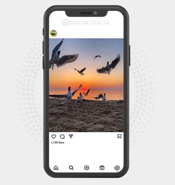 buy Instagram account NatureMag (2 k Followers)