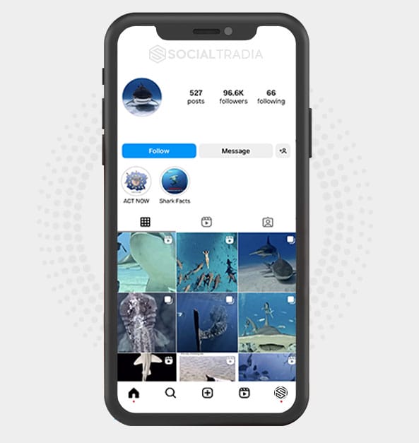 buy Instagram account SharkFound (96.6 k Followers)