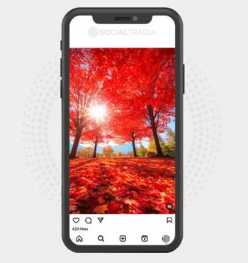 buy Instagram account Trip View (2.6 k Followers)