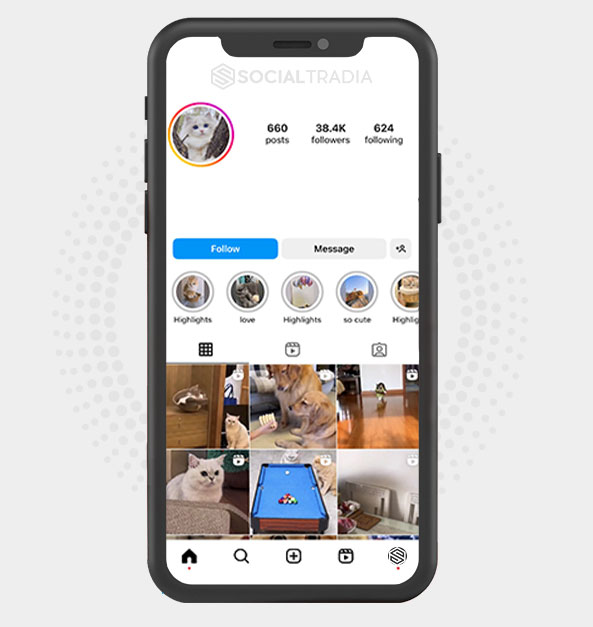 buy Instagram account AnimalWish (38.4 k Followers) buy Instagram account AnimalWish (38.4 k Followers)