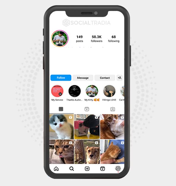 buy Instagram account CatRule (50 k Followers)