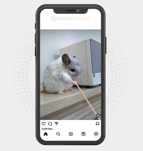 buy Instagram account CattyCore (72.1 k Followers) buy Instagram account CattyCore (72.1 k Followers)