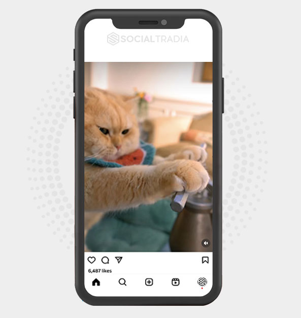 buy Instagram account CattyCore (72.1 k Followers) buy Instagram account CattyCore (72.1 k Followers)