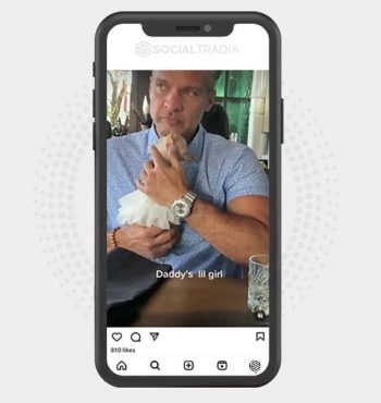 buy Instagram account Chihuahua Fans (198 k Followers)
