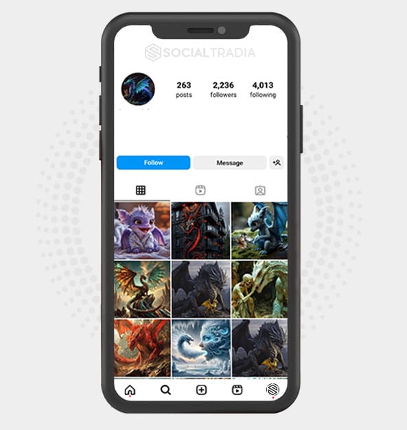 buy Instagram account DragonClub (2.2 k Followers)